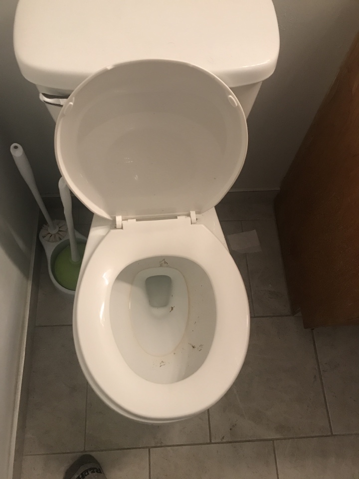 Ranchlands, AB - Plumber required plug toilet cleared Ranchlands, AB - Plumber required plug toilet cleared